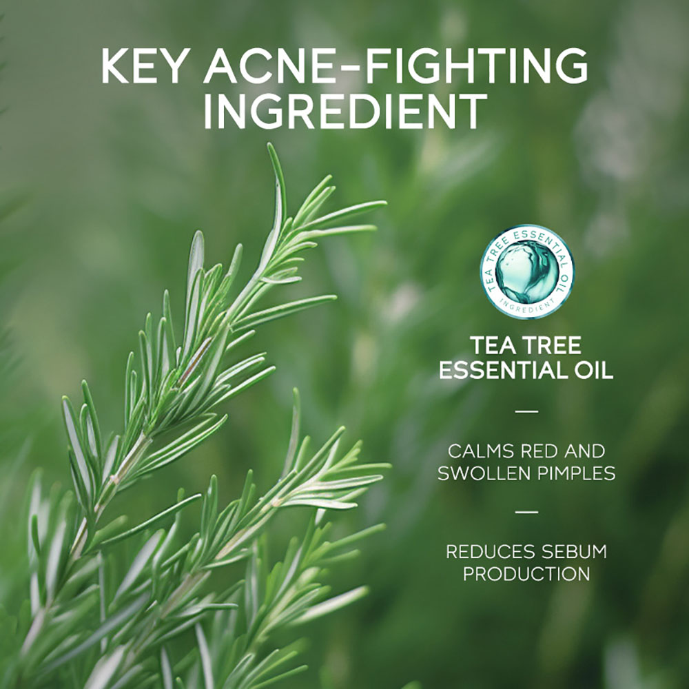 LAIKOU Tea Tree Acne Gel 15g,  – Tea Tree Spot Treatment recenzja i cena